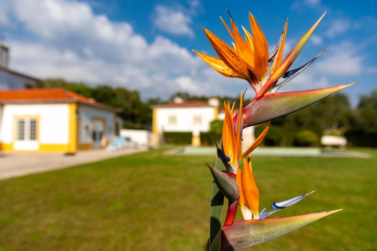 Quinta do Pé Descalço Sintra Exterior foto
